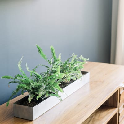 home-staging_50
