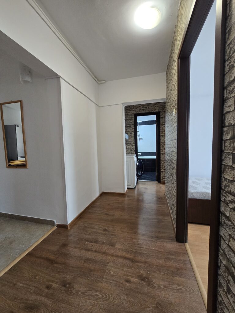 3-camere-l-boiler-l-Metrou-Tineretului-9-min