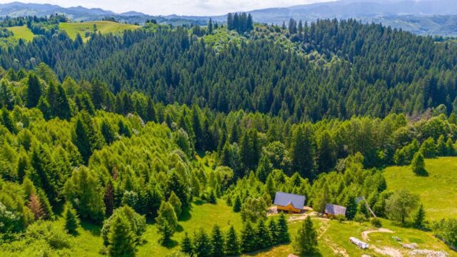 Teren-Intravilan-in-Bran-Brasov-Oaza-Ta-de-liniste-la-Munte-3-min