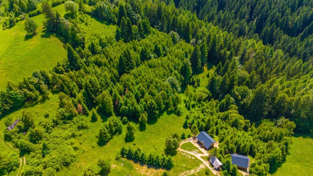 Teren-Intravilan-in-Bran-Brasov-Oaza-Ta-de-liniste-la-Munte-4-min