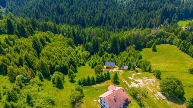 Teren-Intravilan-in-Bran-Brasov-Oaza-Ta-de-liniste-la-Munte-7-min