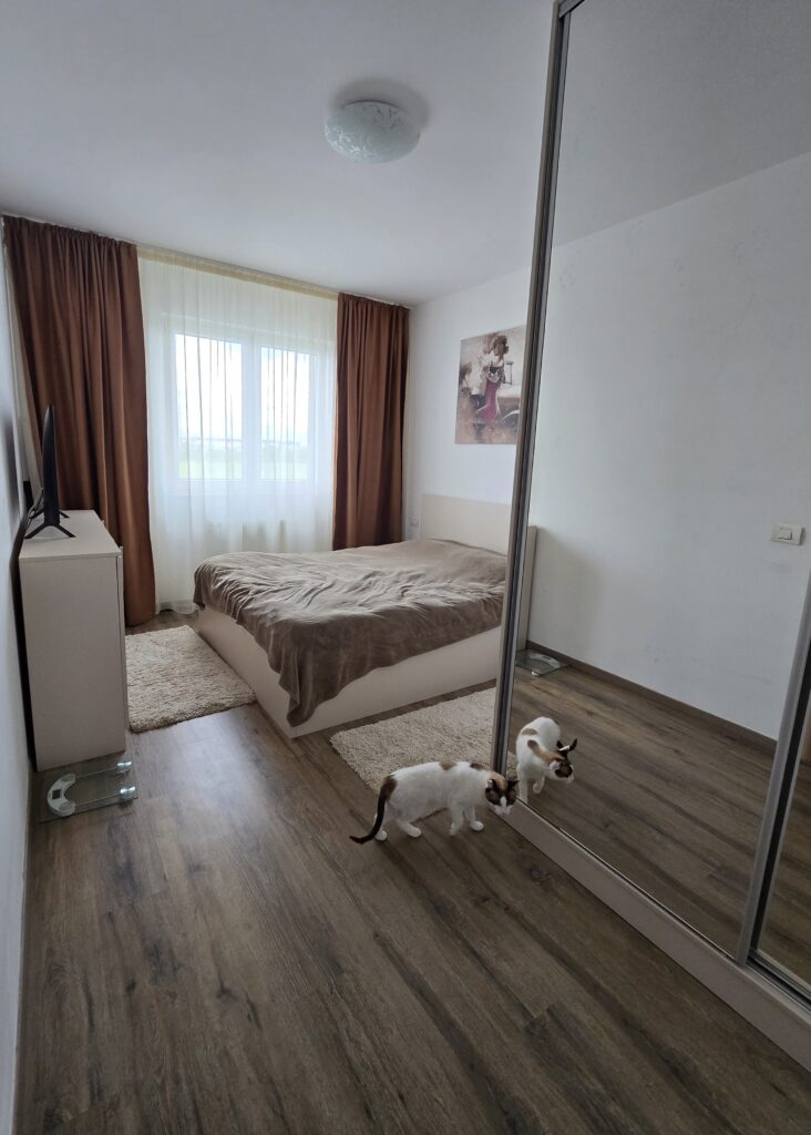 2-Camere-si-Parcare-Prelungirea-Ghencea-8-min