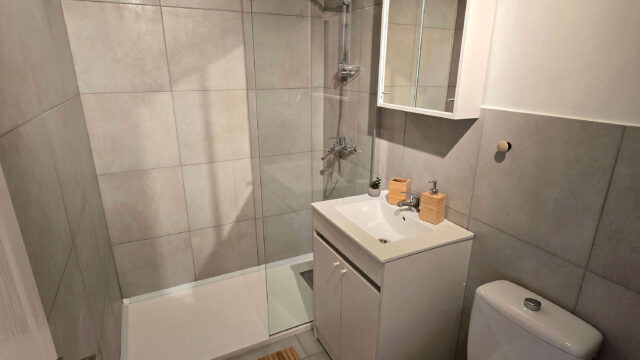 Apartament-de-inchiriat-sector-1-1-Mai-mobilat-2-camere-1