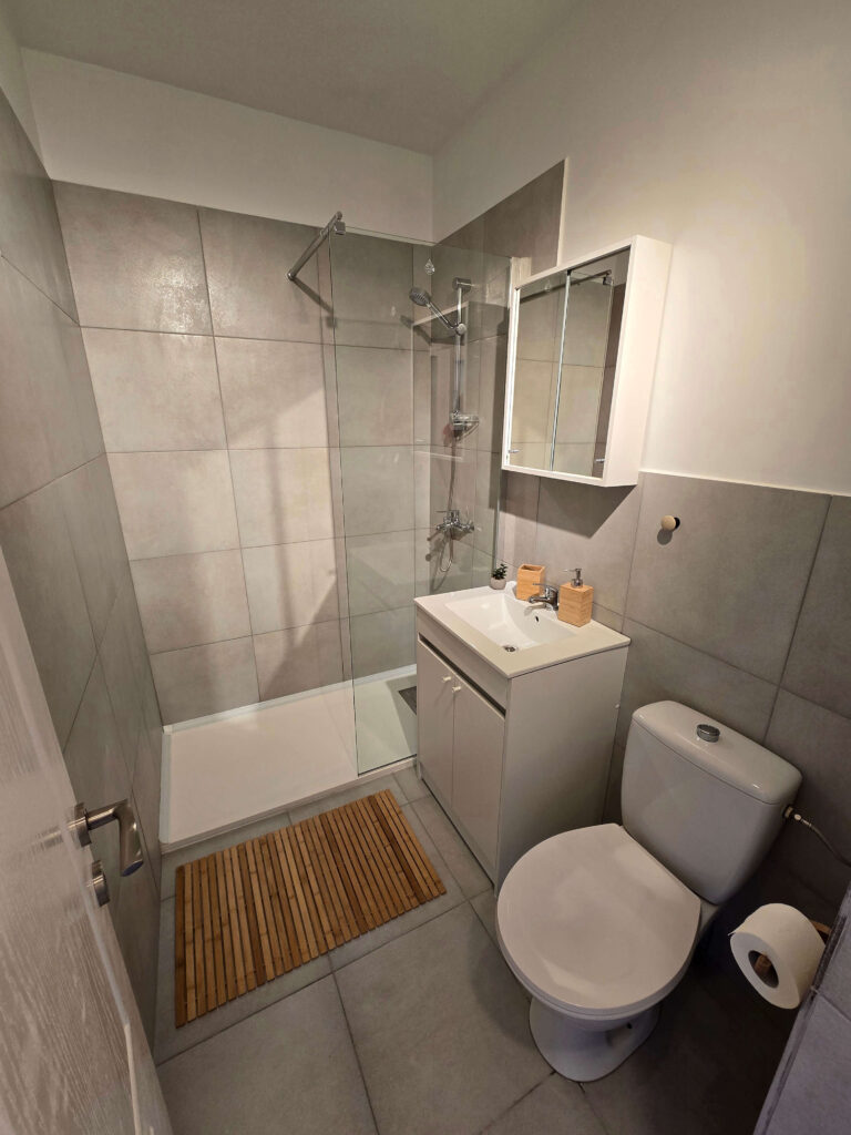 Apartament-de-inchiriat-sector-1-1-Mai-mobilat-2-camere-1
