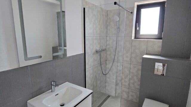 Casa-langa-padure-cu-curte-generoasa-704-mp_2