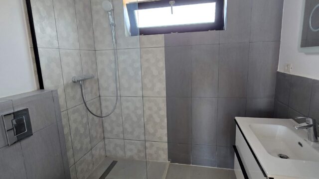 Casa-langa-padure-cu-curte-generoasa-704-mp_9